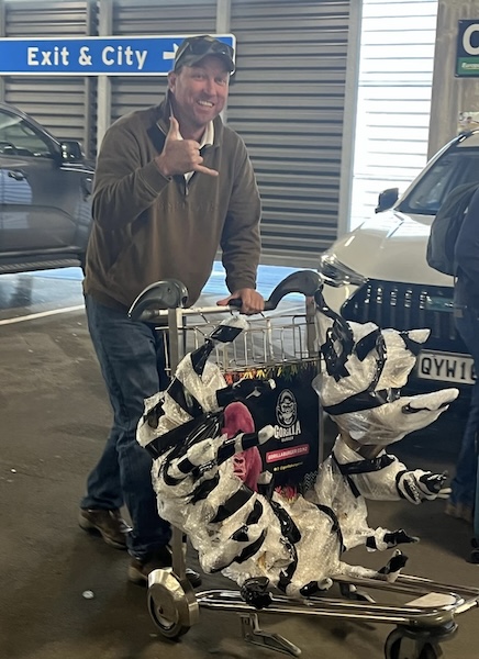 Clinton heading back to Australia with his Red Stag antlers and cape